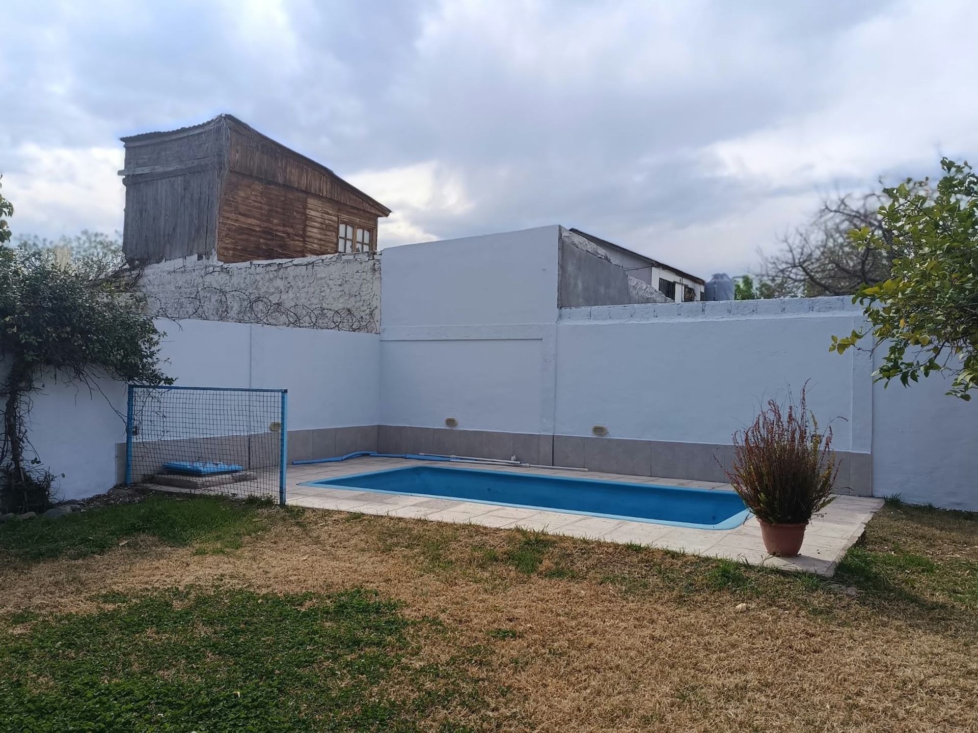 Imagen 8