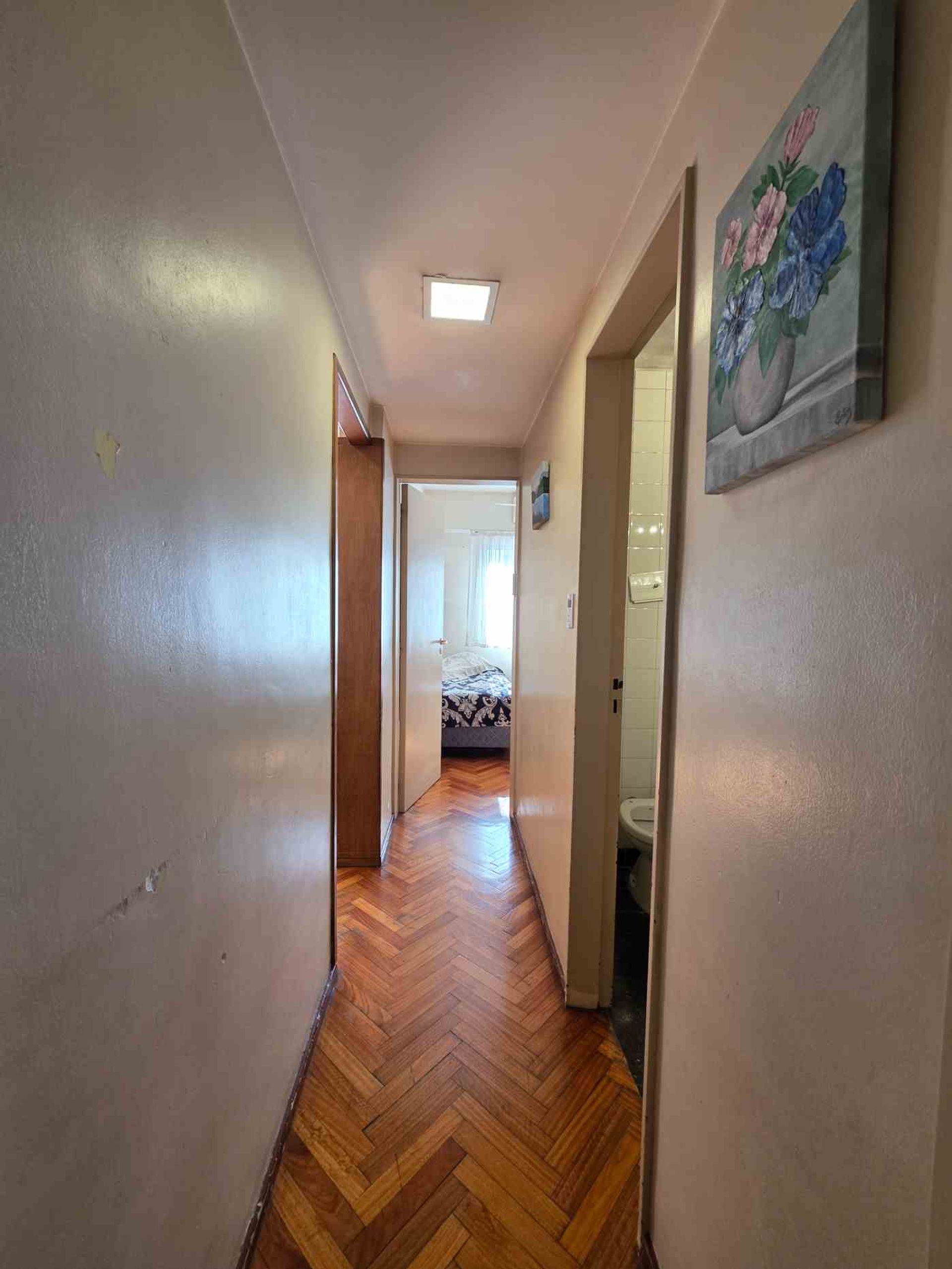 Imagen 24