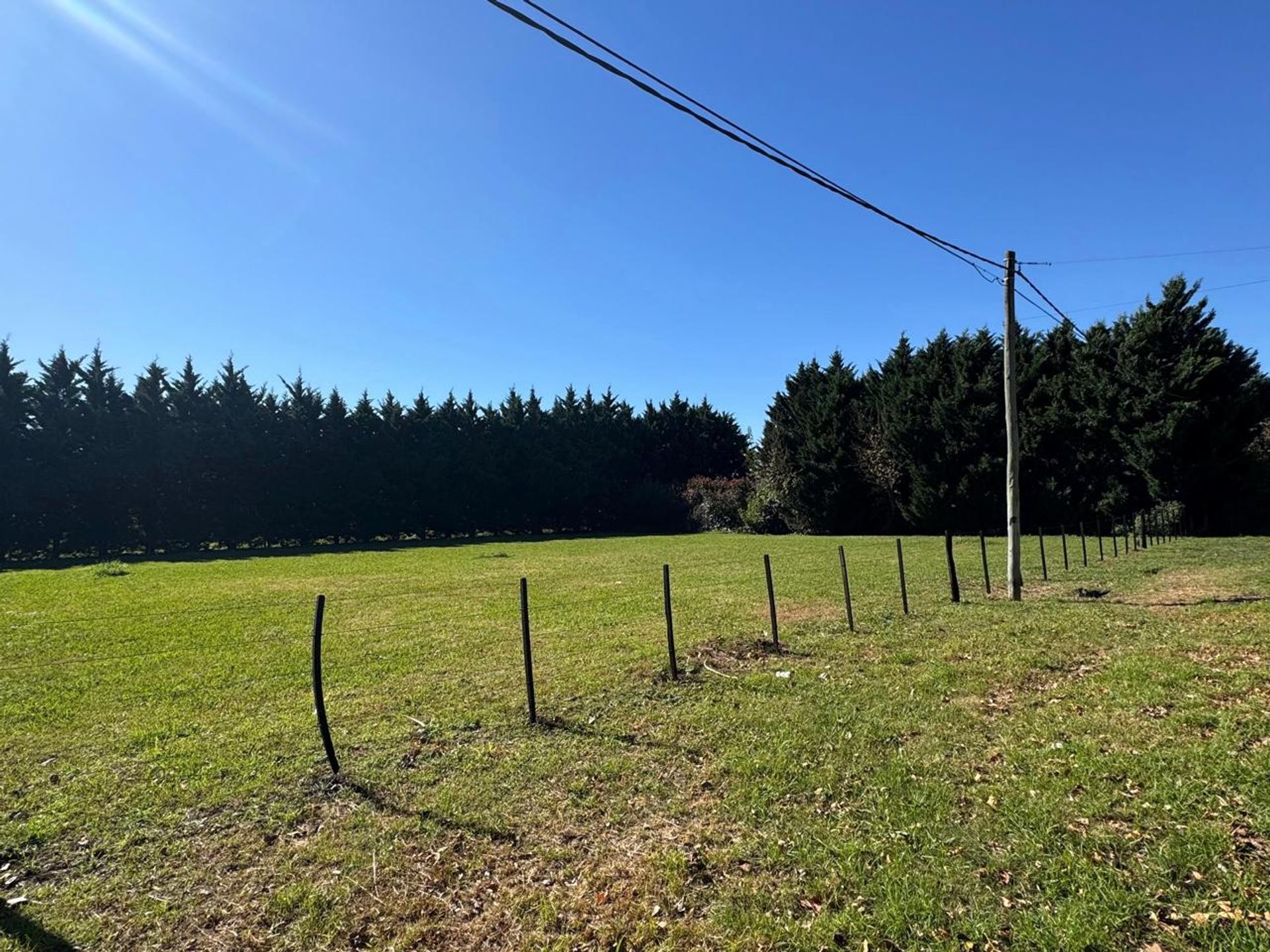 Foto 2 — TERRENO EN VENTA EN PERGAMINO