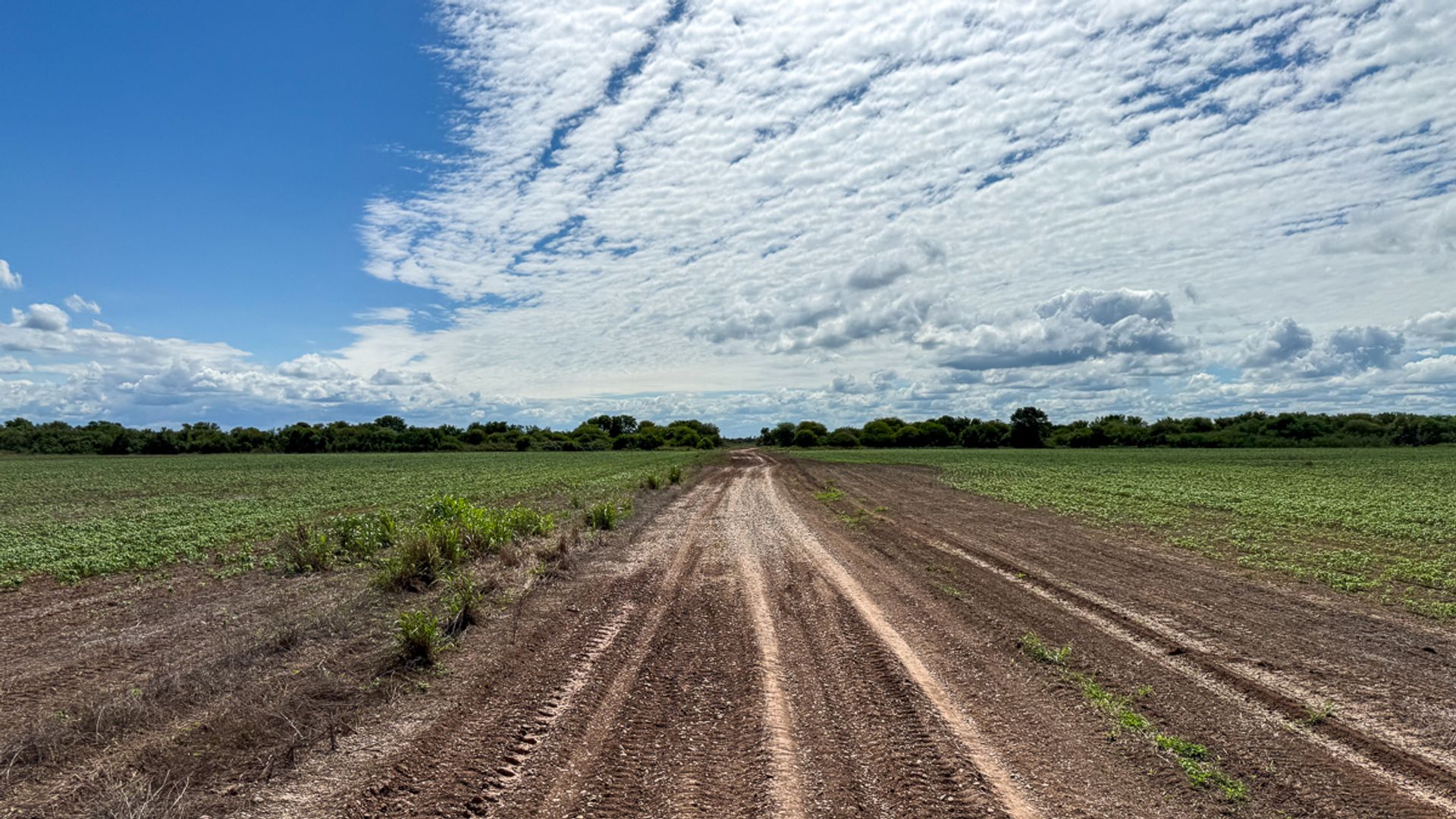 FINCA VENTA EMBARCACION PADRE LOZANO 2410 HA - foto 19