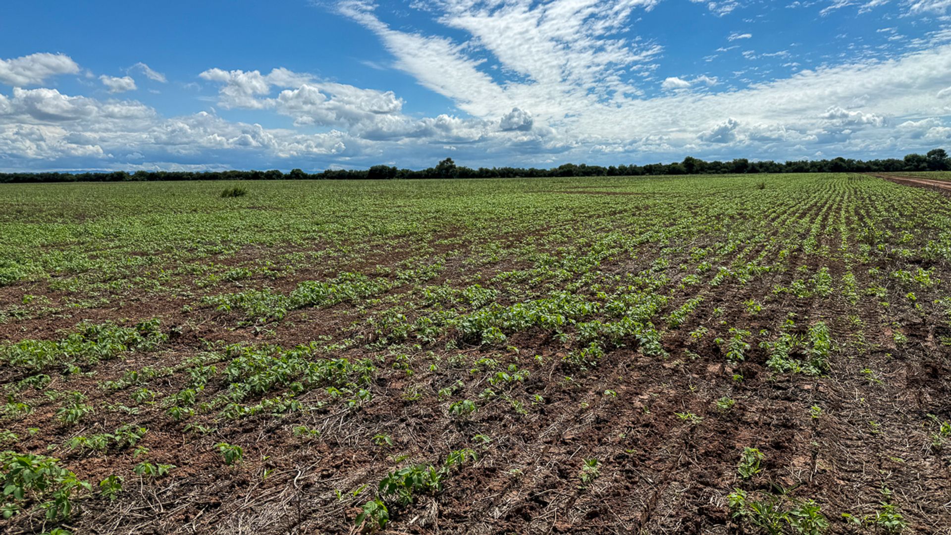 FINCA VENTA EMBARCACION PADRE LOZANO 2410 HA - foto 3