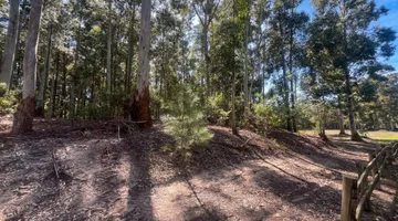 Terreno de una Hectárea a Metros del Río - Carmelo