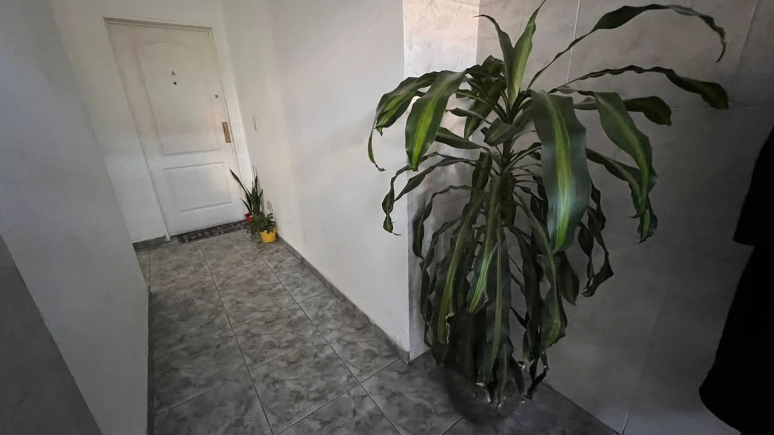 Monoambiente en venta en Ramos Mejía, foto 2