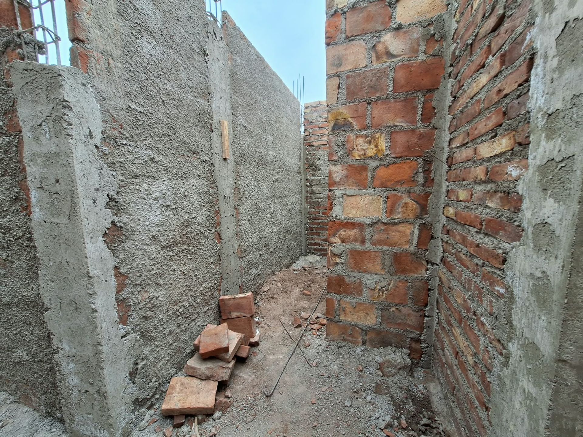 Imagen 5