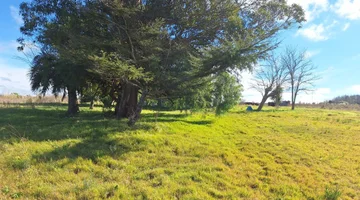 Venta campo 4 Ha 1293 m² con construcción en Pando