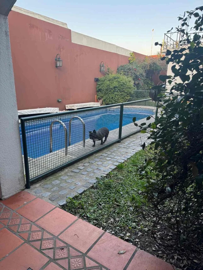 Casa en venta en Banfield, foto 2