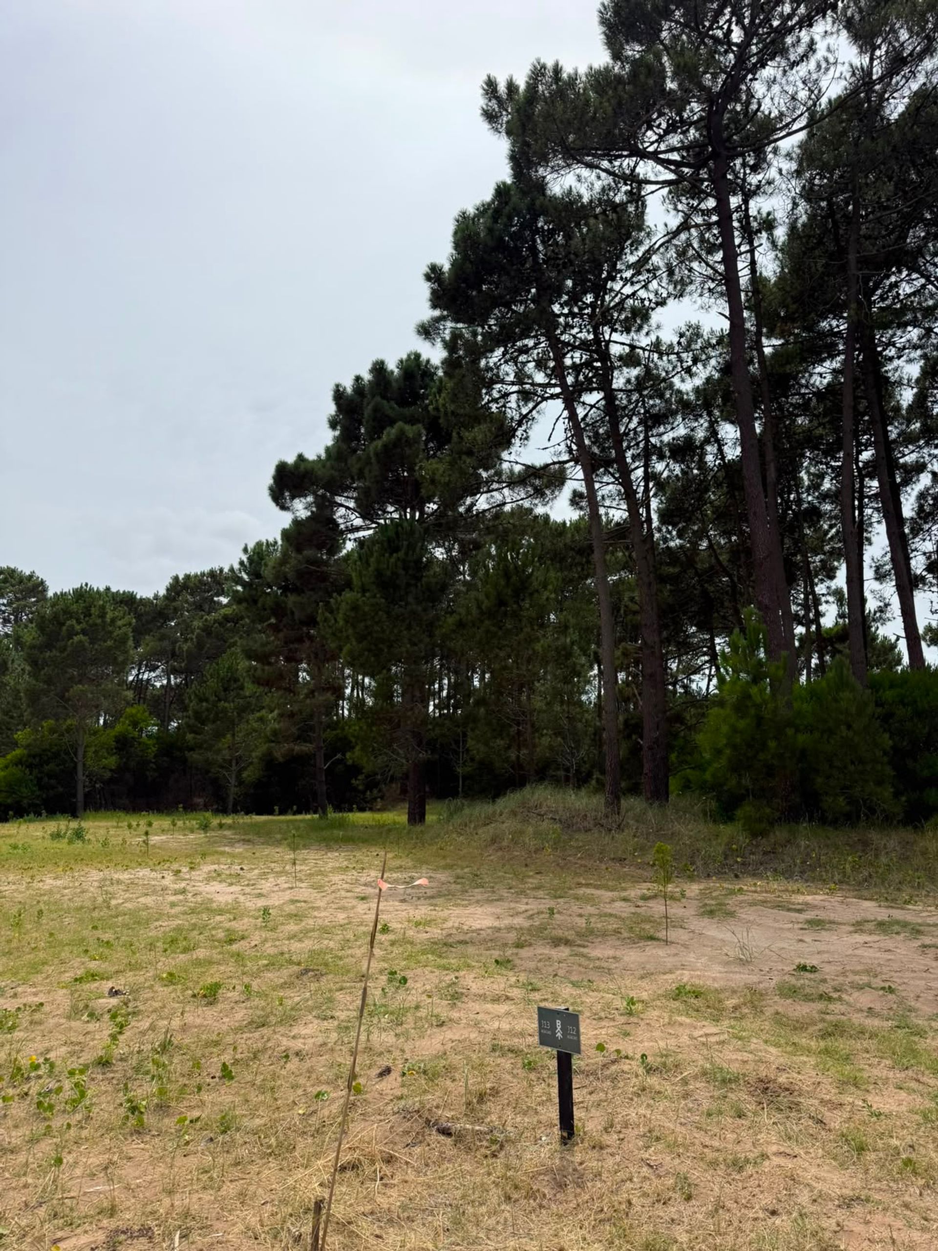 Foto 3 — LOTE EN VENTA BARRIO BOSQUES PINAMAR NORTE