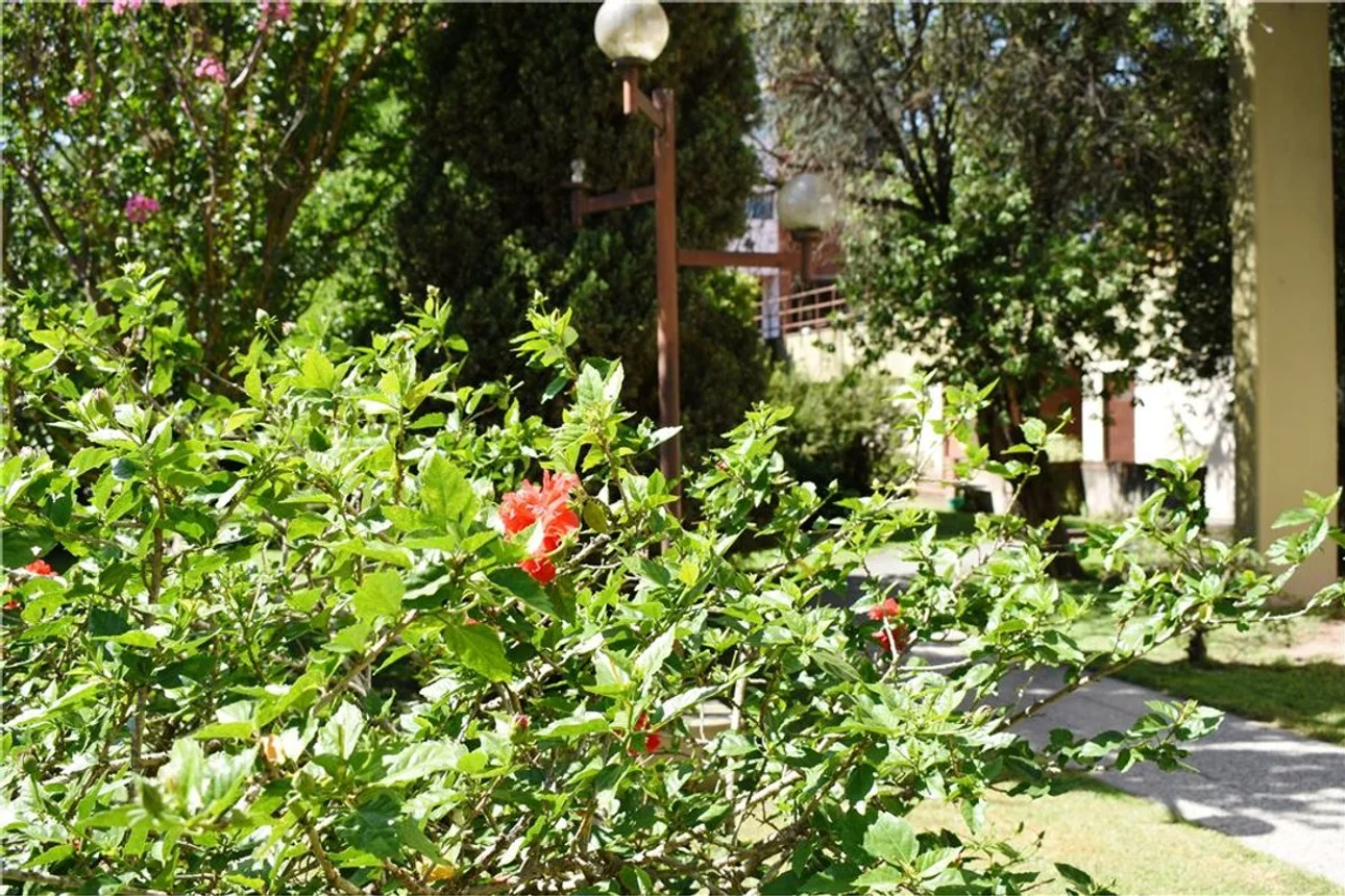 Departamento de 2 ambientes en alquiler en Pilar, Chacabuco 500, foto 5