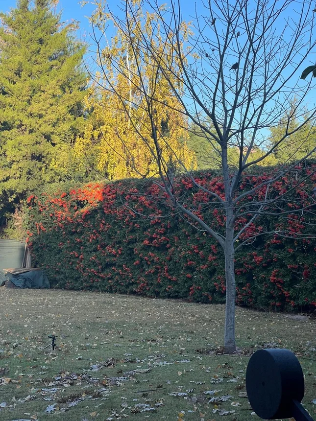 Casa en venta en Luján de Cuyo, foto 5