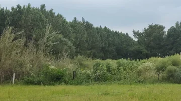 OPURTUNIDAD LOTE DESVIO ARIJON