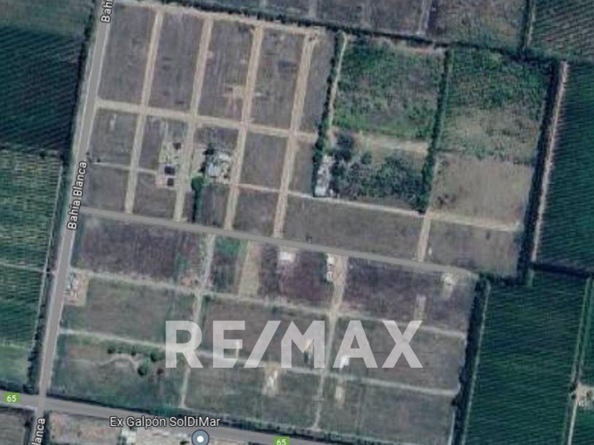 Foto 3 — VENTA TERRENO EN ALLEN