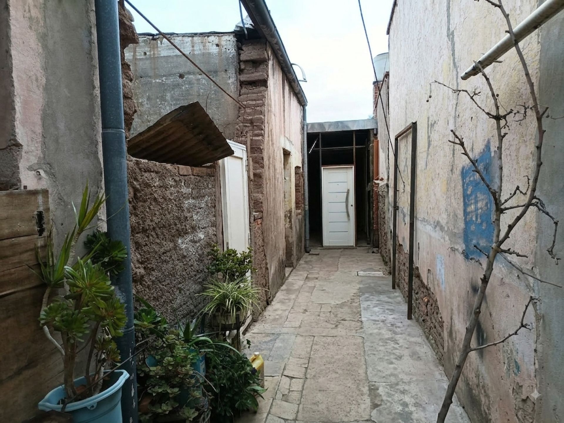 Imagen 8