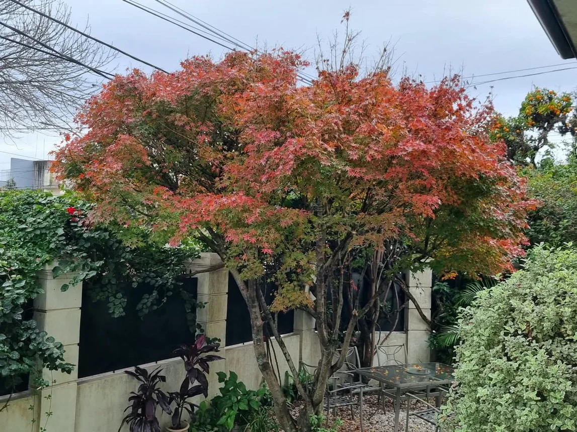Casa de 4 ambientes en venta en Quilmes, Alem 400, foto 2