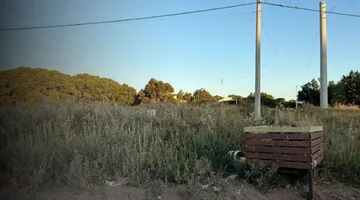 LOTE EN SAUCE GRANDE