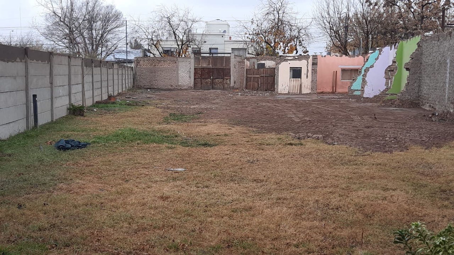 Imagen 2