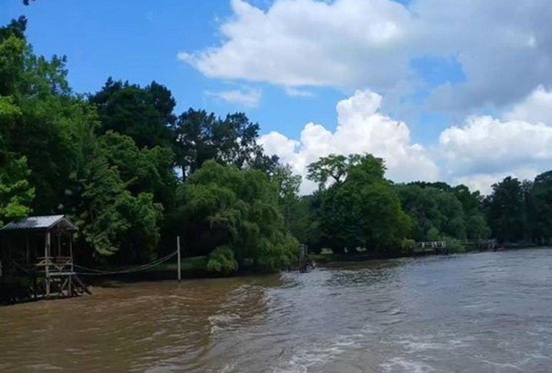 venta terrenos 24 hectarias delta parana