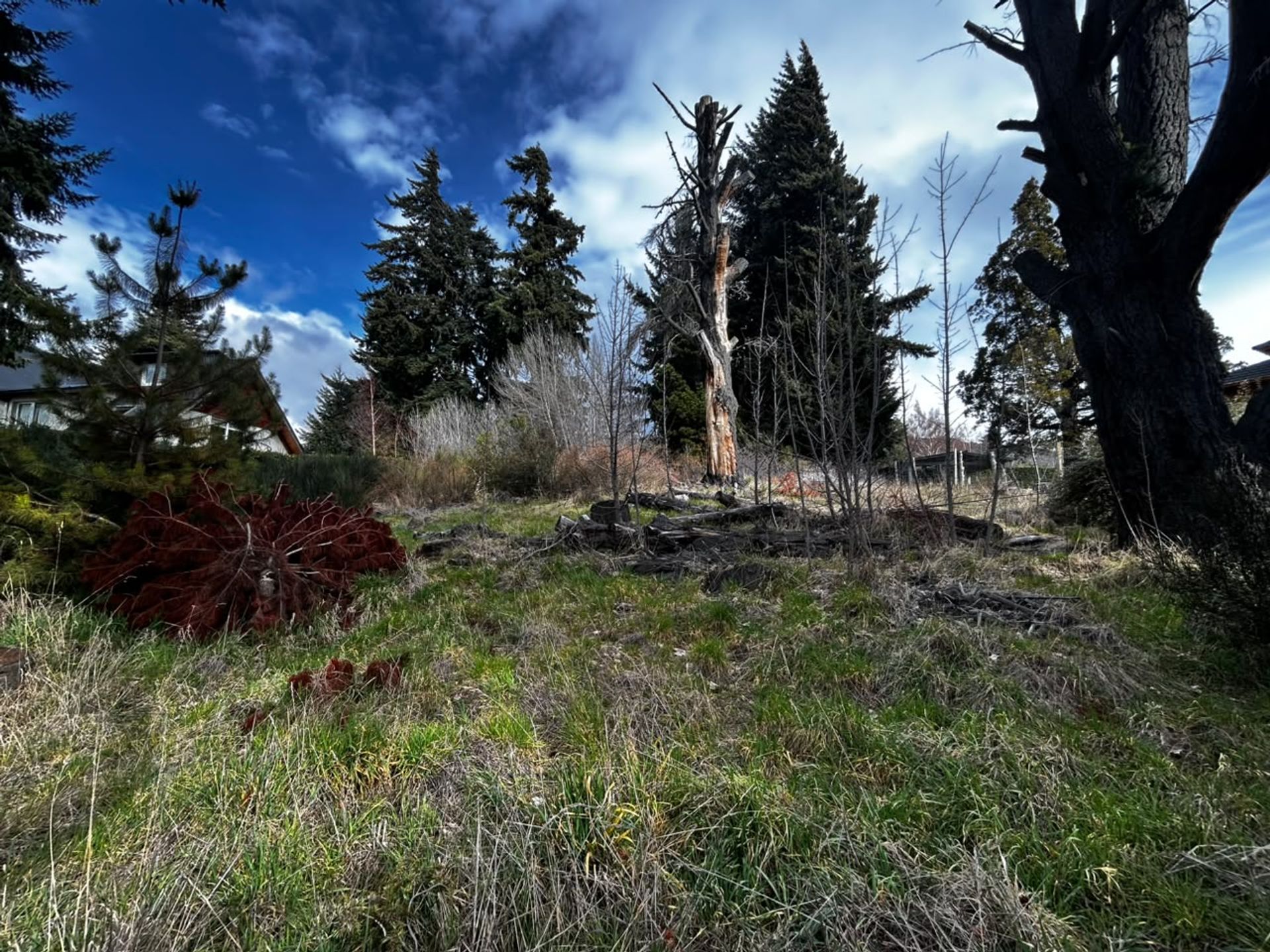 Foto 4 — Lote en alquiler sobre avenida Bustillo