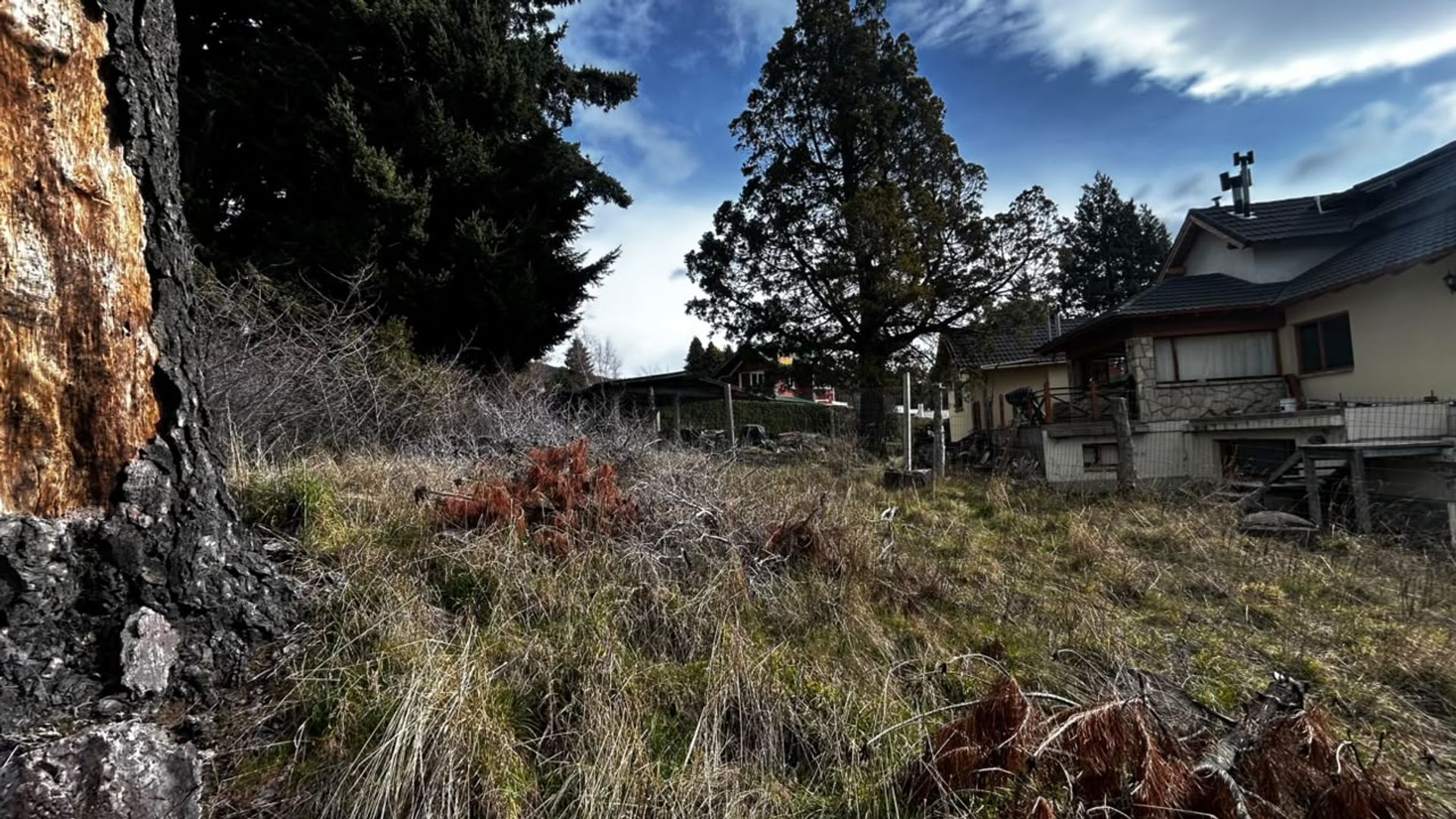 Foto 10 — Lote en alquiler sobre avenida Bustillo