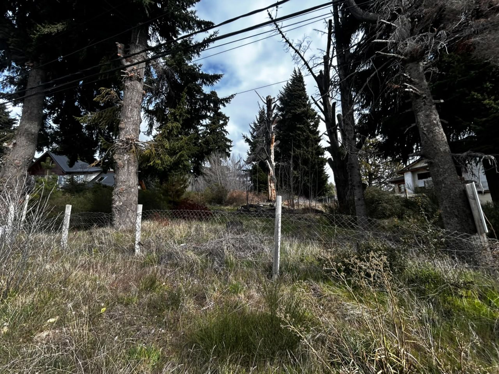 Foto 3 — Lote en alquiler sobre avenida Bustillo
