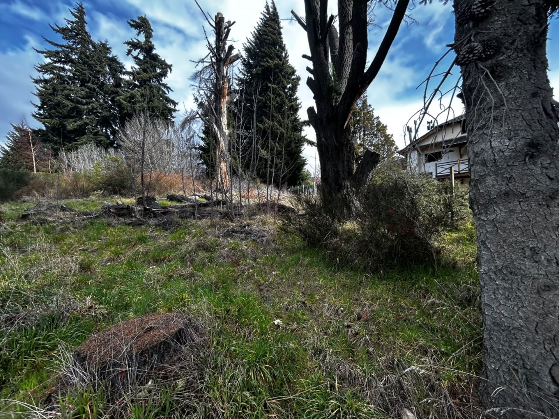 Foto 13 — Lote en alquiler sobre avenida Bustillo