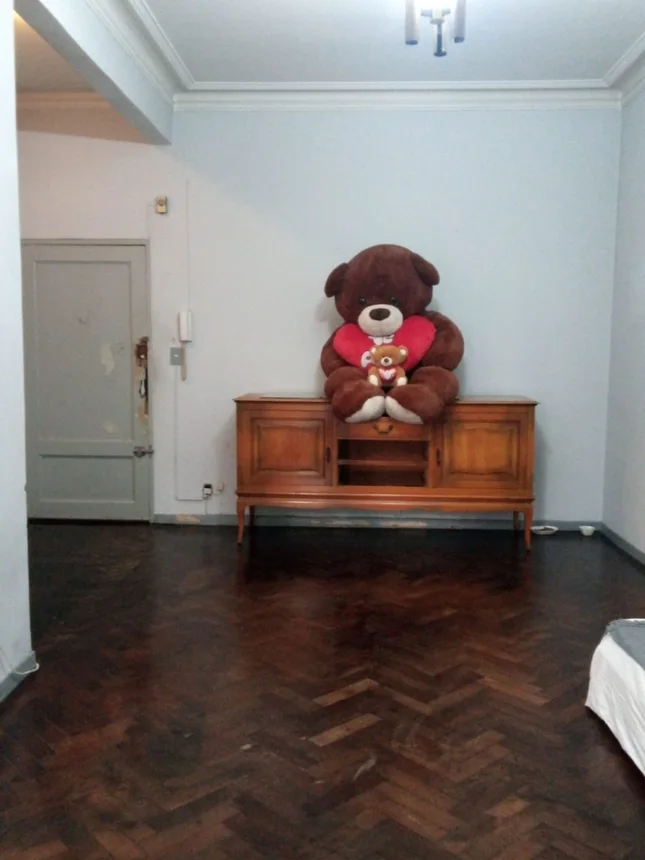 Venta de 2 departamentos de 2 ambientes, foto 2