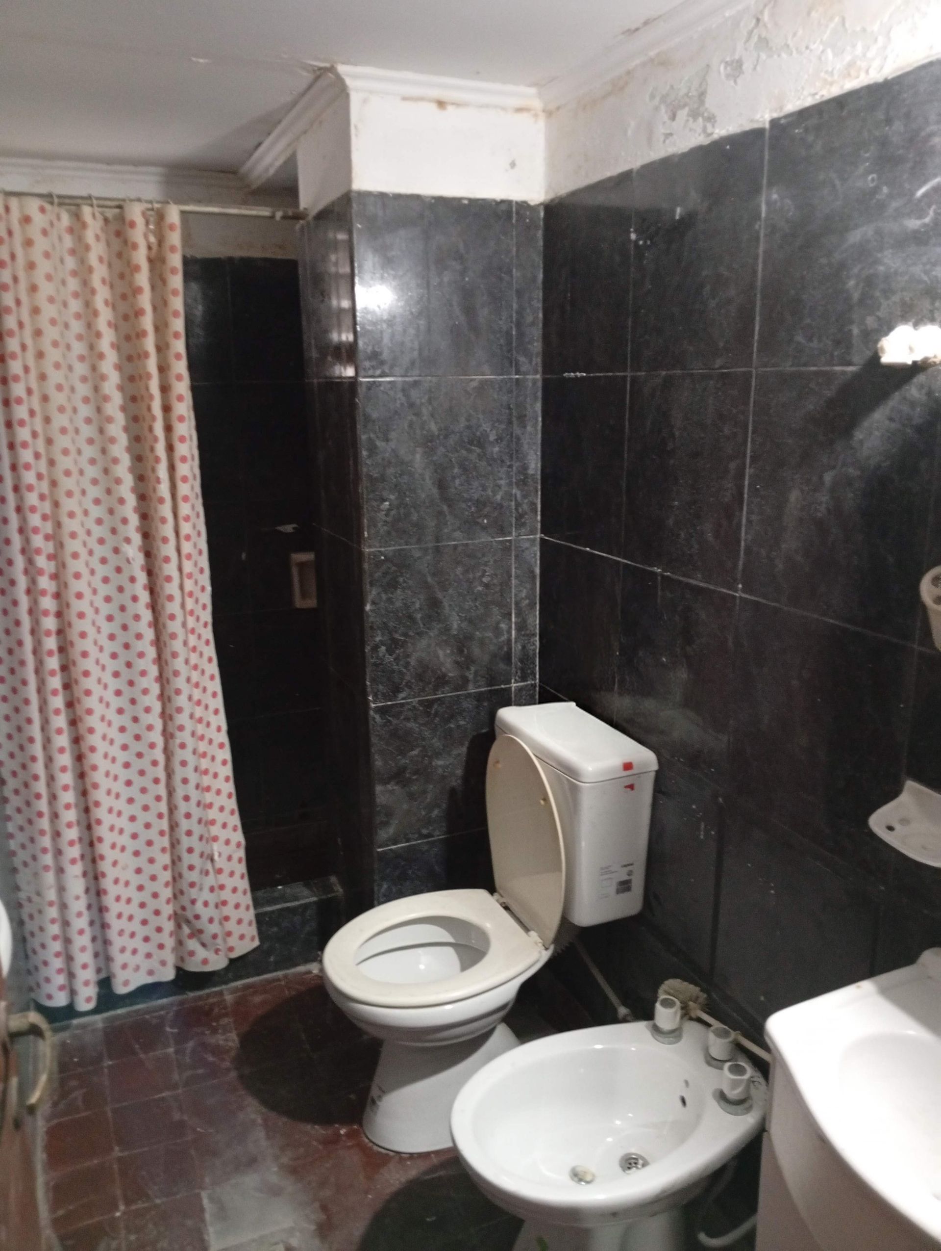 DEPARTAMENTO VENTA 2 DORM PLANTA BAJA ZONA SUR - foto 5