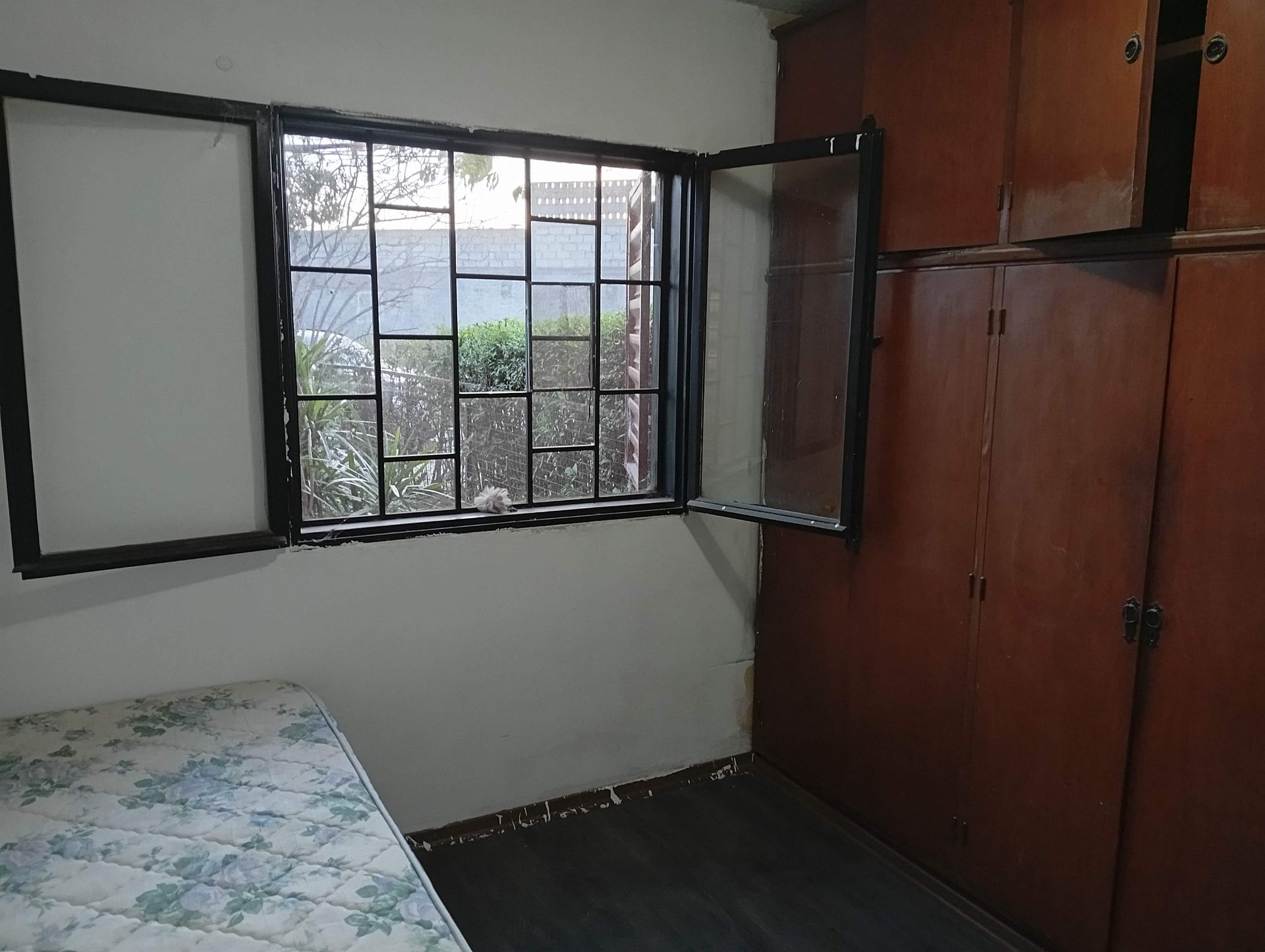 DEPARTAMENTO VENTA 2 DORM PLANTA BAJA ZONA SUR - foto 4