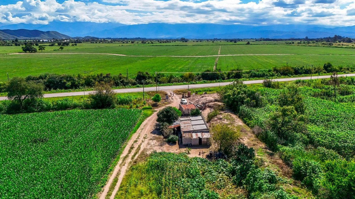 CAMPO VENTA 36 HECTAREAS SOBRE RP 21 CERRILLOS - foto 6