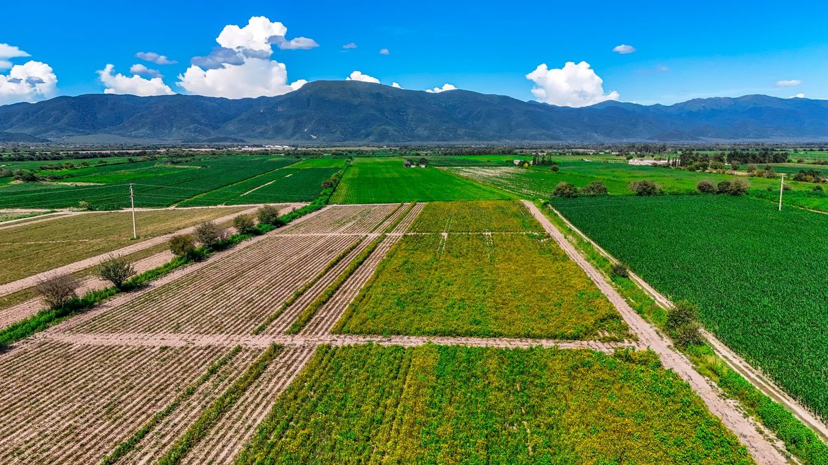 CAMPO VENTA 36 HECTAREAS SOBRE RP 21 CERRILLOS - foto 13