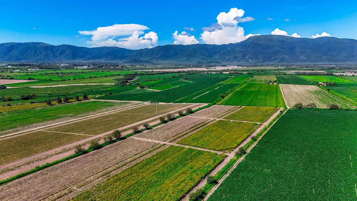 CAMPO VENTA 36 HECTAREAS SOBRE RP 21 CERRILLOS - foto 12