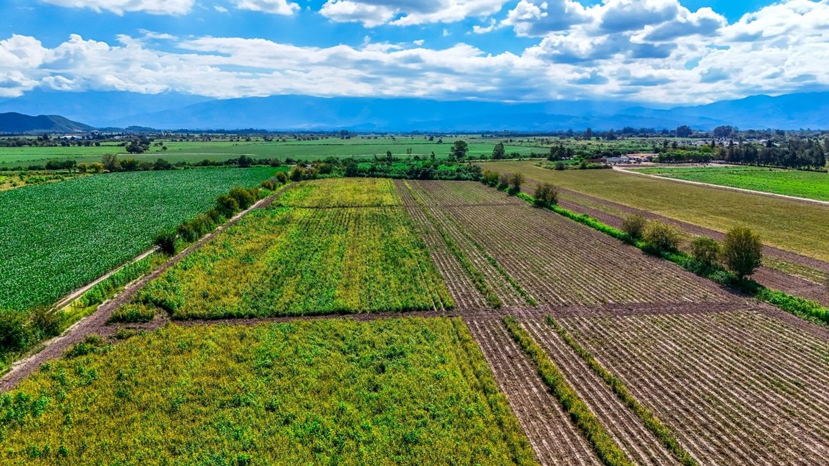 CAMPO VENTA 36 HECTAREAS SOBRE RP 21 CERRILLOS - foto 14