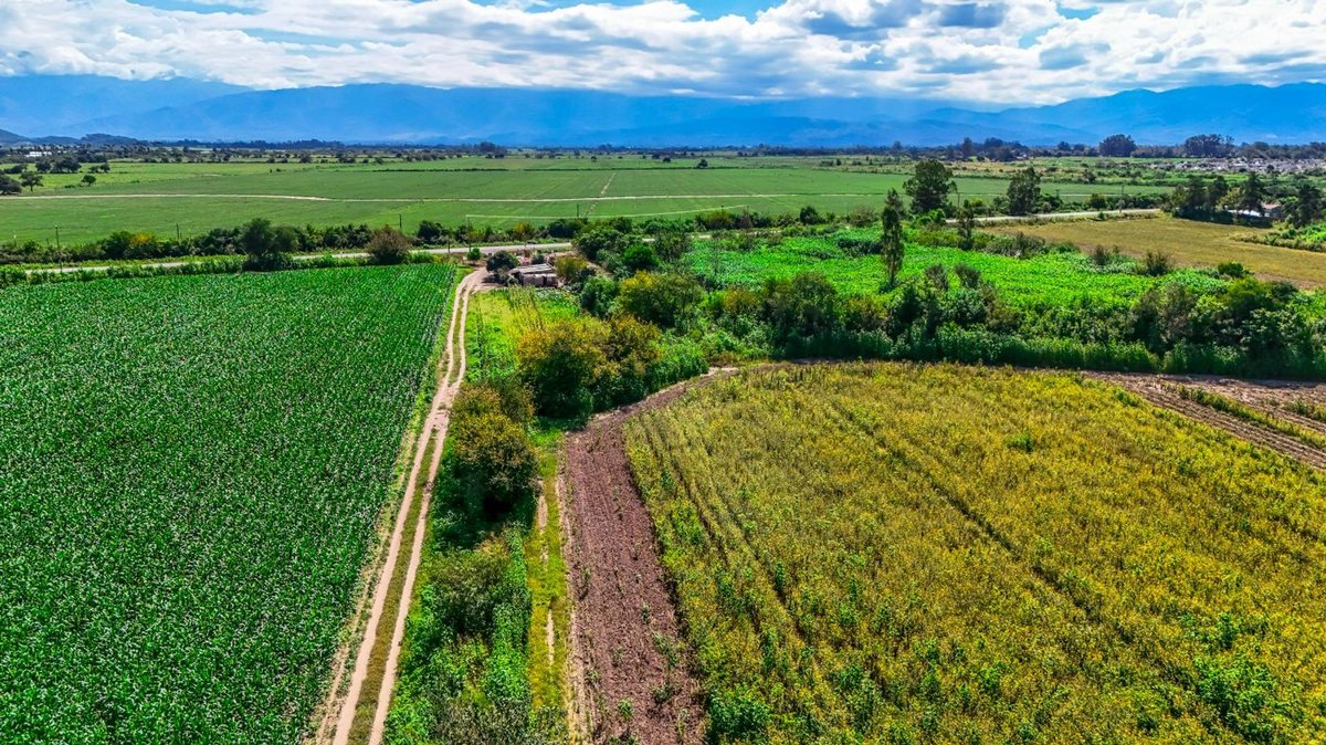 CAMPO VENTA 36 HECTAREAS SOBRE RP 21 CERRILLOS - foto 2