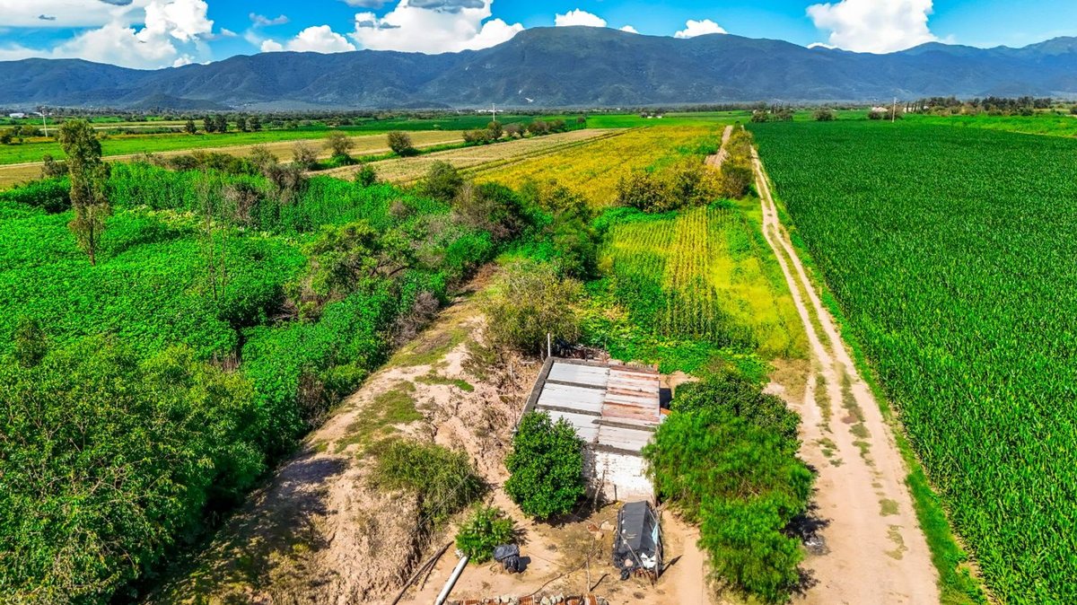 CAMPO VENTA 36 HECTAREAS SOBRE RP 21 CERRILLOS - foto 5
