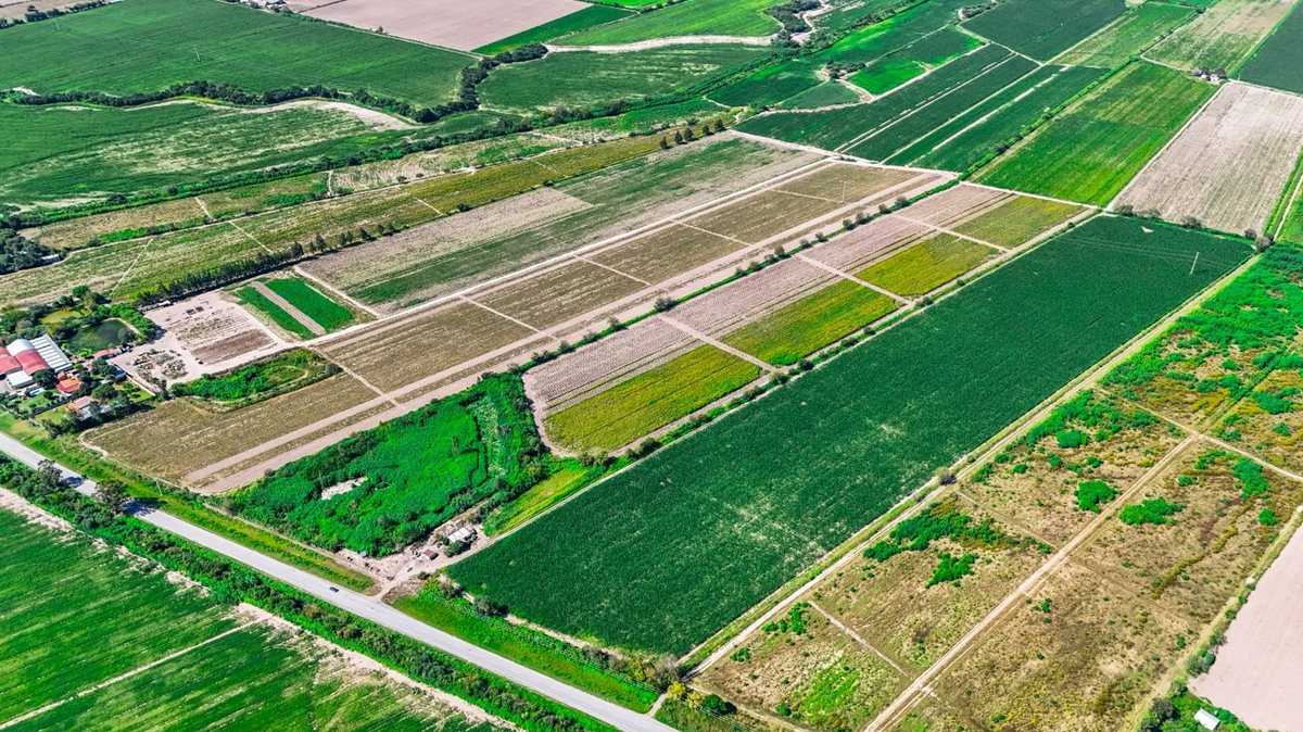 CAMPO VENTA 36 HECTAREAS SOBRE RP 21 CERRILLOS - foto 10