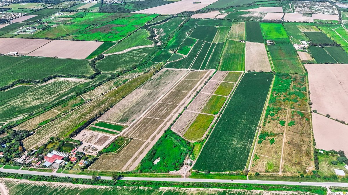 CAMPO VENTA 36 HECTAREAS SOBRE RP 21 CERRILLOS - foto 9