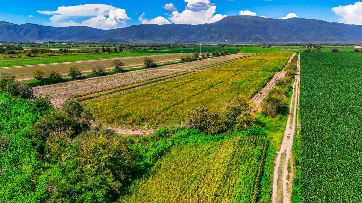 CAMPO VENTA 36 HECTAREAS SOBRE RP 21 CERRILLOS - foto 7