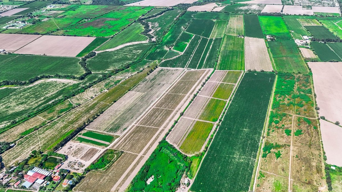 CAMPO VENTA 36 HECTAREAS SOBRE RP 21 CERRILLOS - foto 8