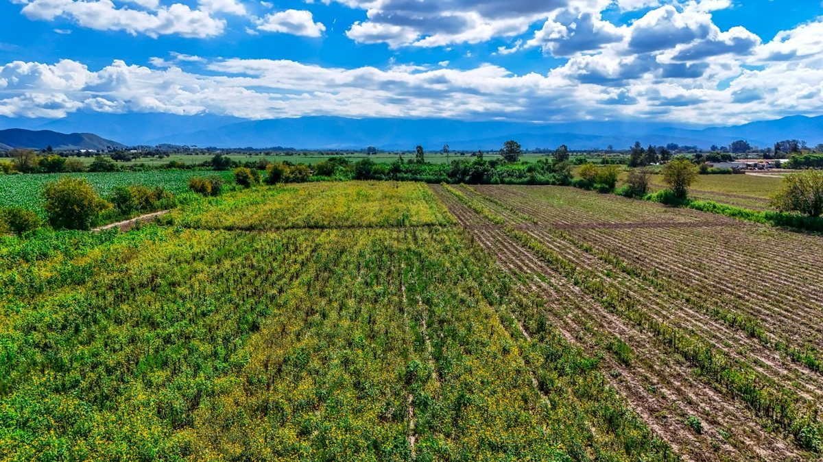 CAMPO VENTA 36 HECTAREAS SOBRE RP 21 CERRILLOS - foto 15