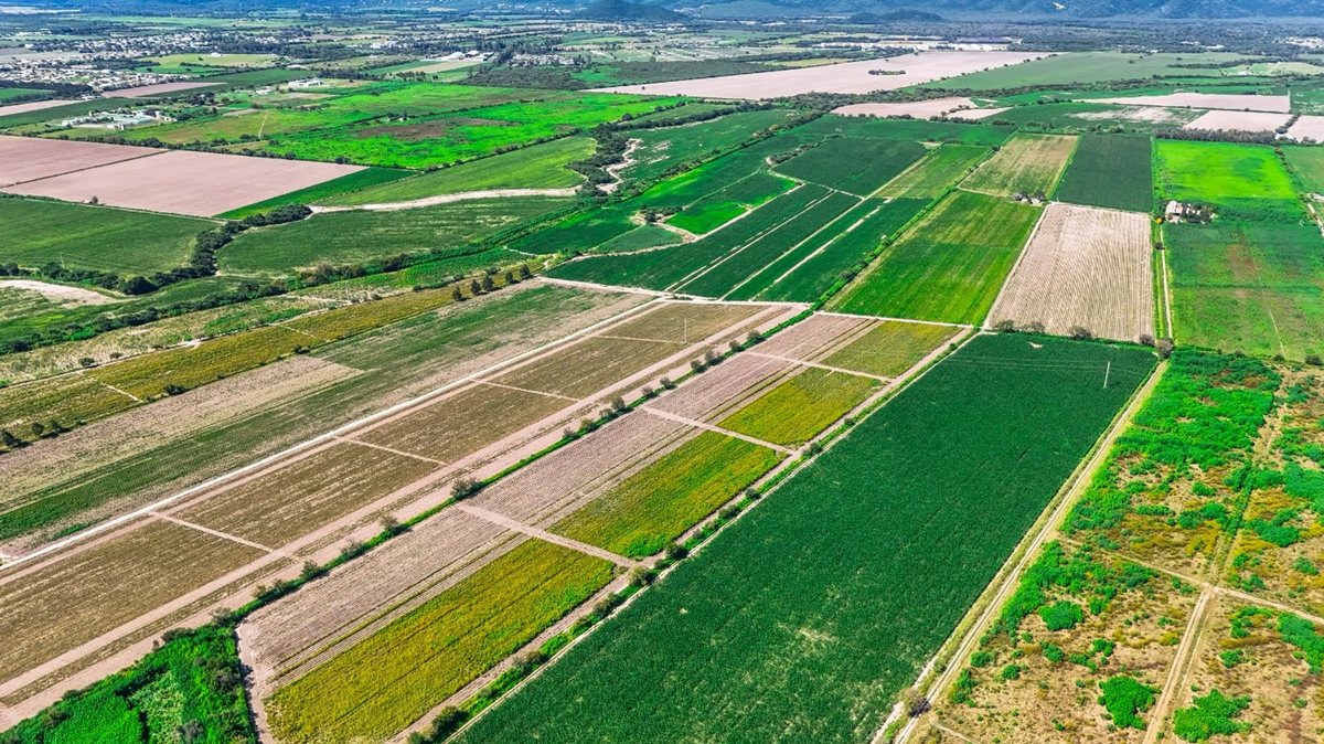 CAMPO VENTA 36 HECTAREAS SOBRE RP 21 CERRILLOS - foto 11