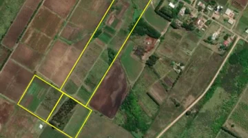 VENTA DE CHACRA DE 11 HECTÁREAS ZONA PAJAS BLANCAS