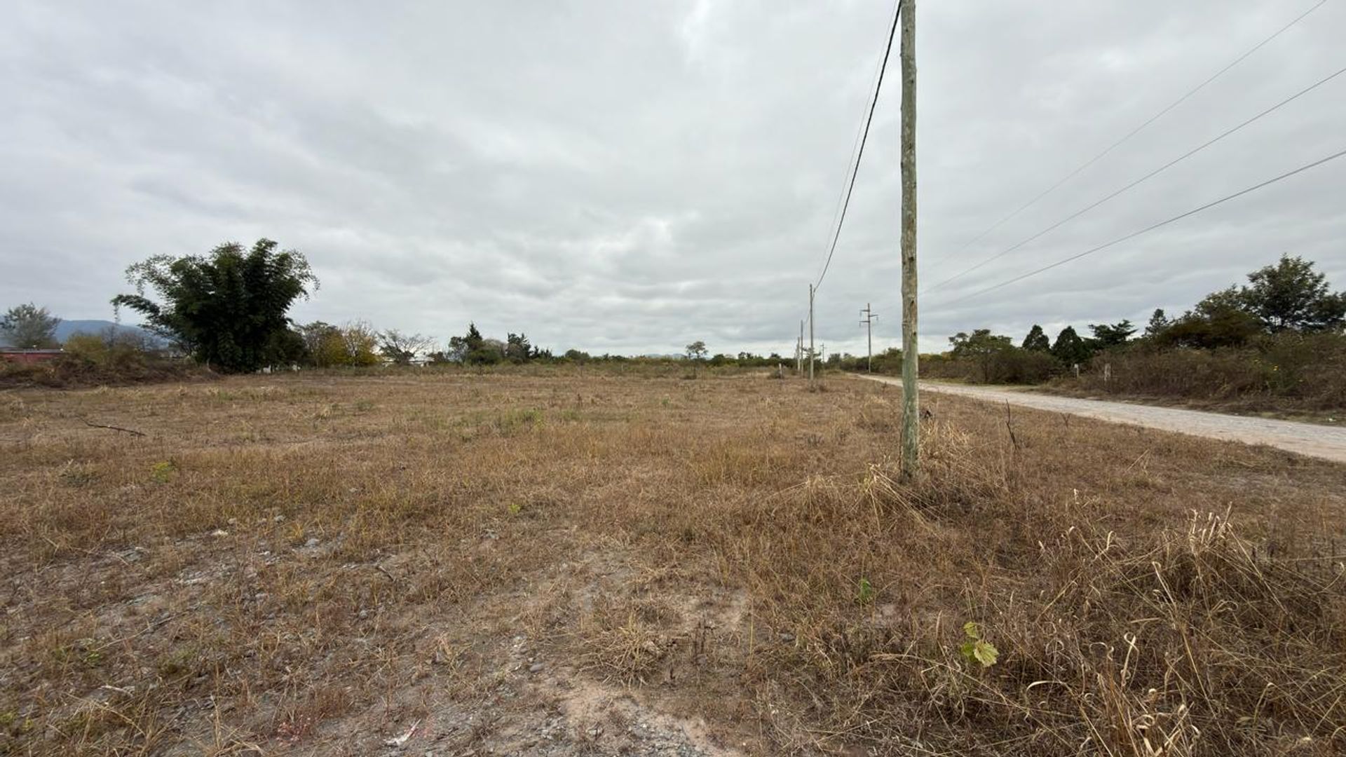TERRENO VENTA CAMPO QUIJANO 1 HA PLANA - foto 15