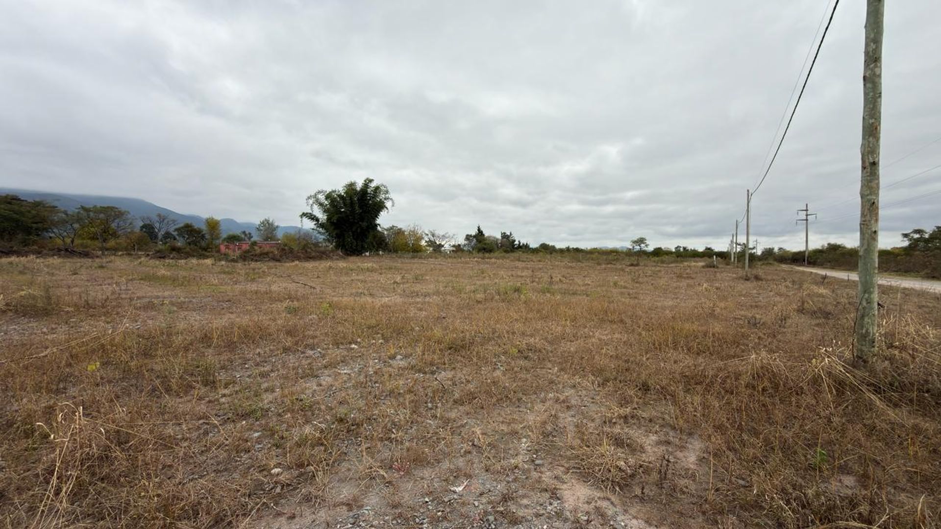 TERRENO VENTA CAMPO QUIJANO 1 HA PLANA - foto 11