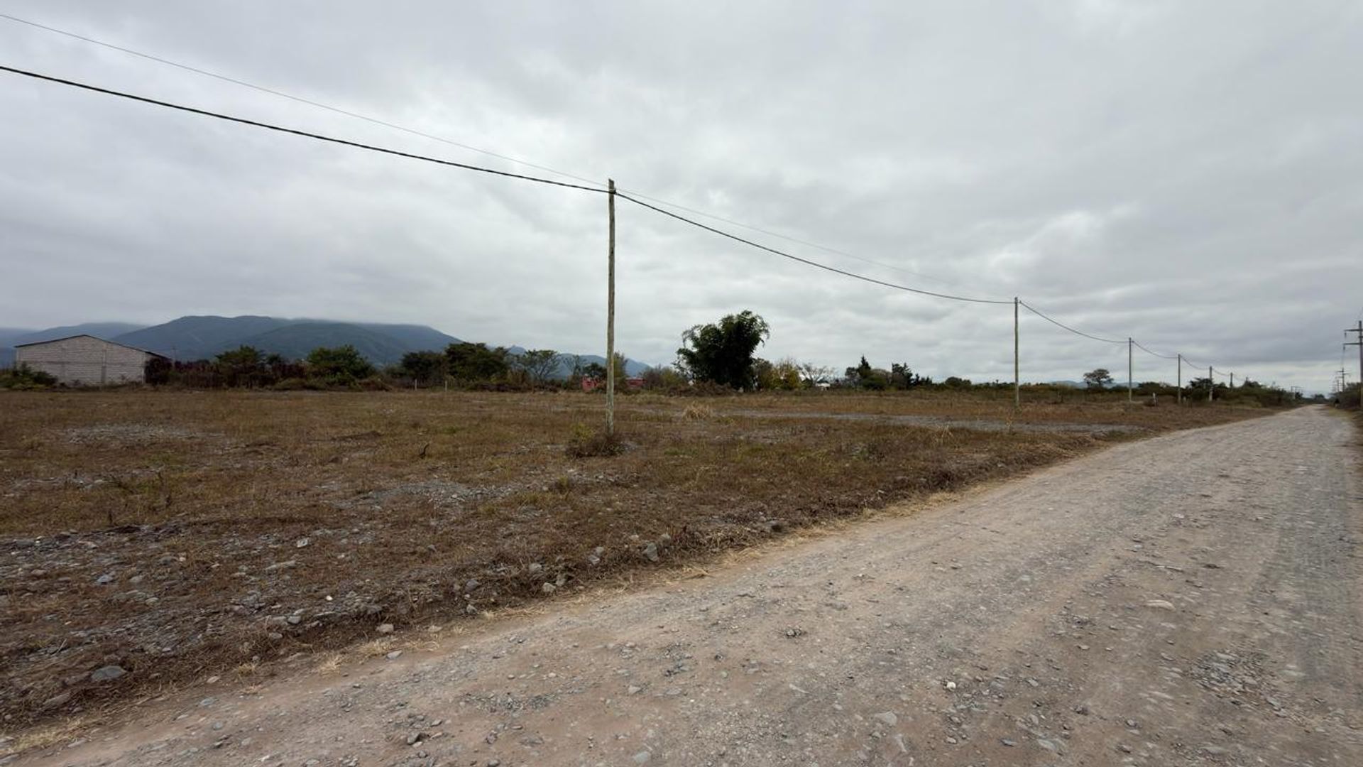TERRENO VENTA CAMPO QUIJANO 1 HA PLANA - foto 5