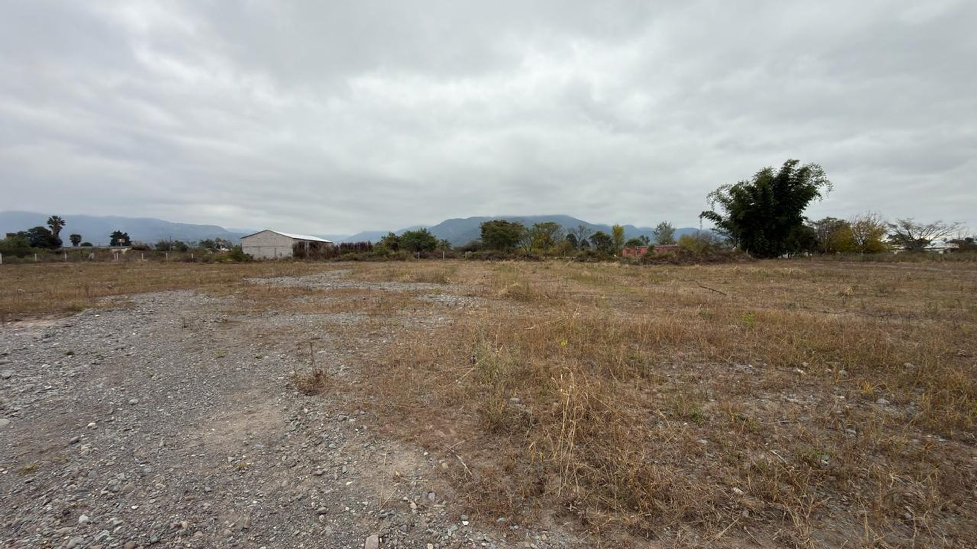 TERRENO VENTA CAMPO QUIJANO 1 HA PLANA - foto 12