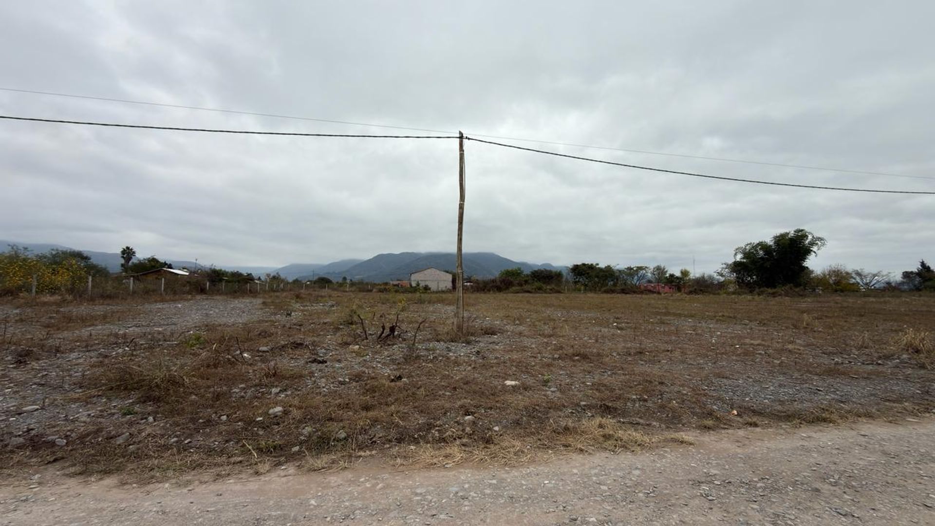 TERRENO VENTA CAMPO QUIJANO 1 HA PLANA - foto 4