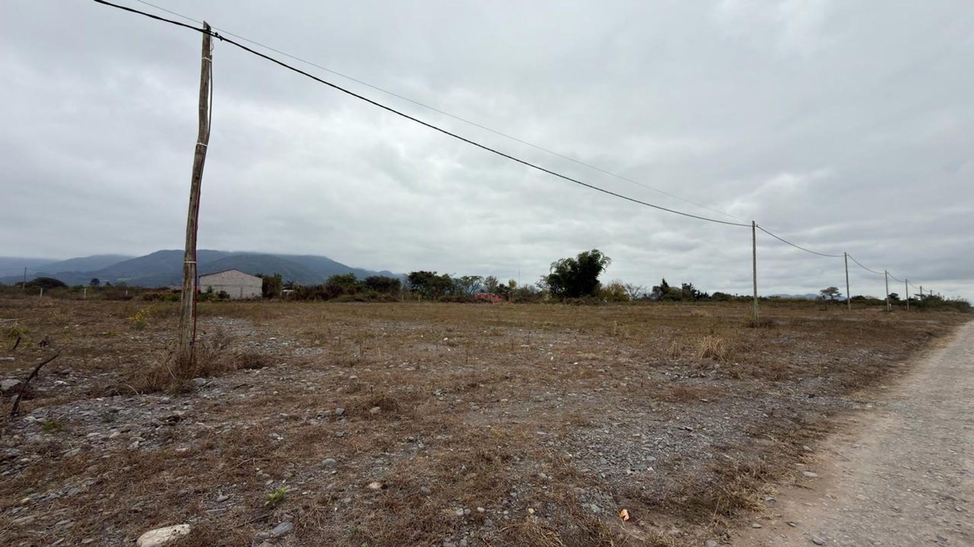 TERRENO VENTA CAMPO QUIJANO 1 HA PLANA - foto 3