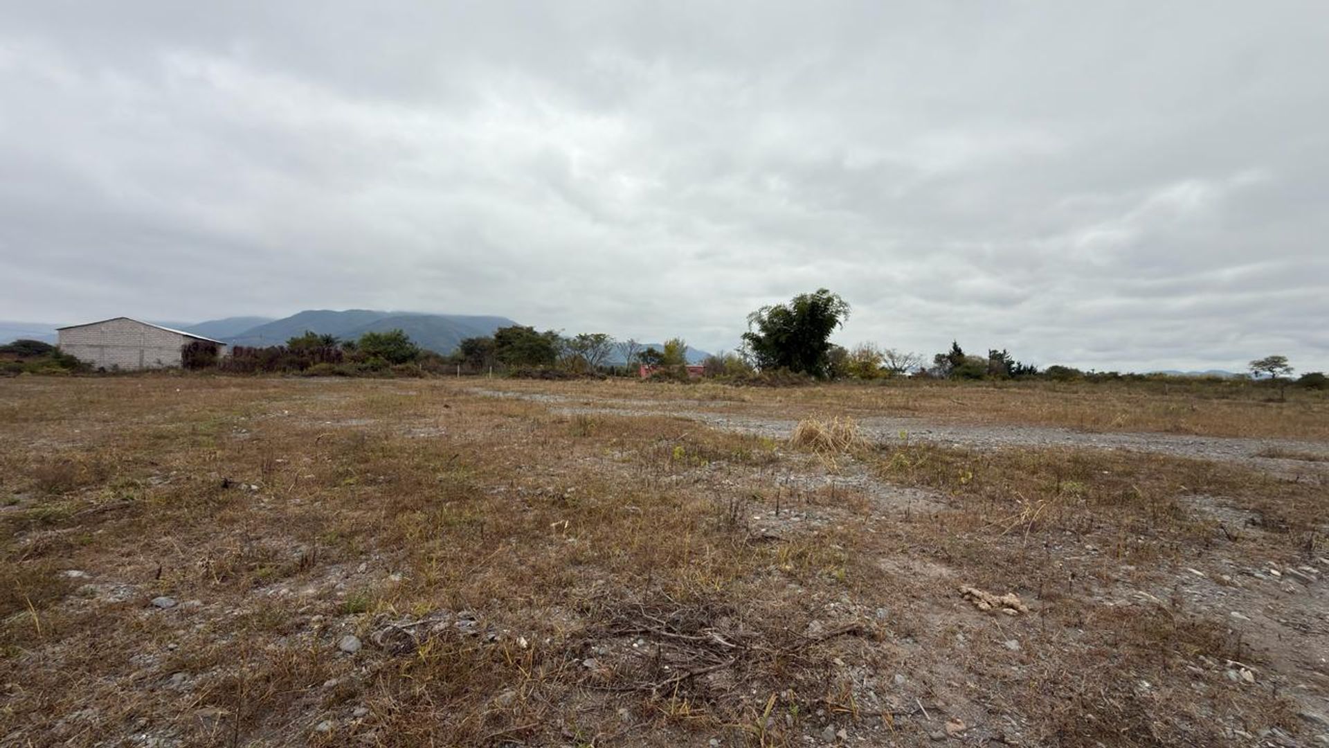 TERRENO VENTA CAMPO QUIJANO 1 HA PLANA - foto 6