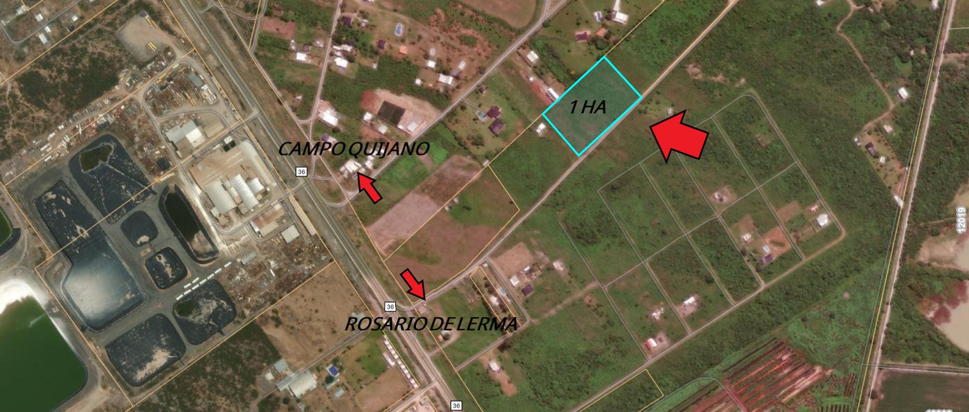 TERRENO VENTA CAMPO QUIJANO 1 HA PLANA - foto 18