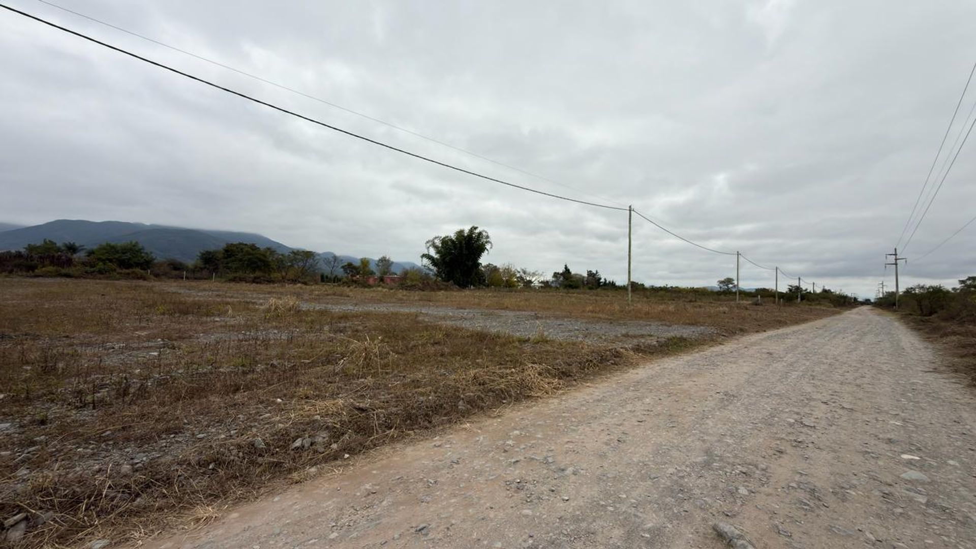 TERRENO VENTA CAMPO QUIJANO 1 HA PLANA - foto 16