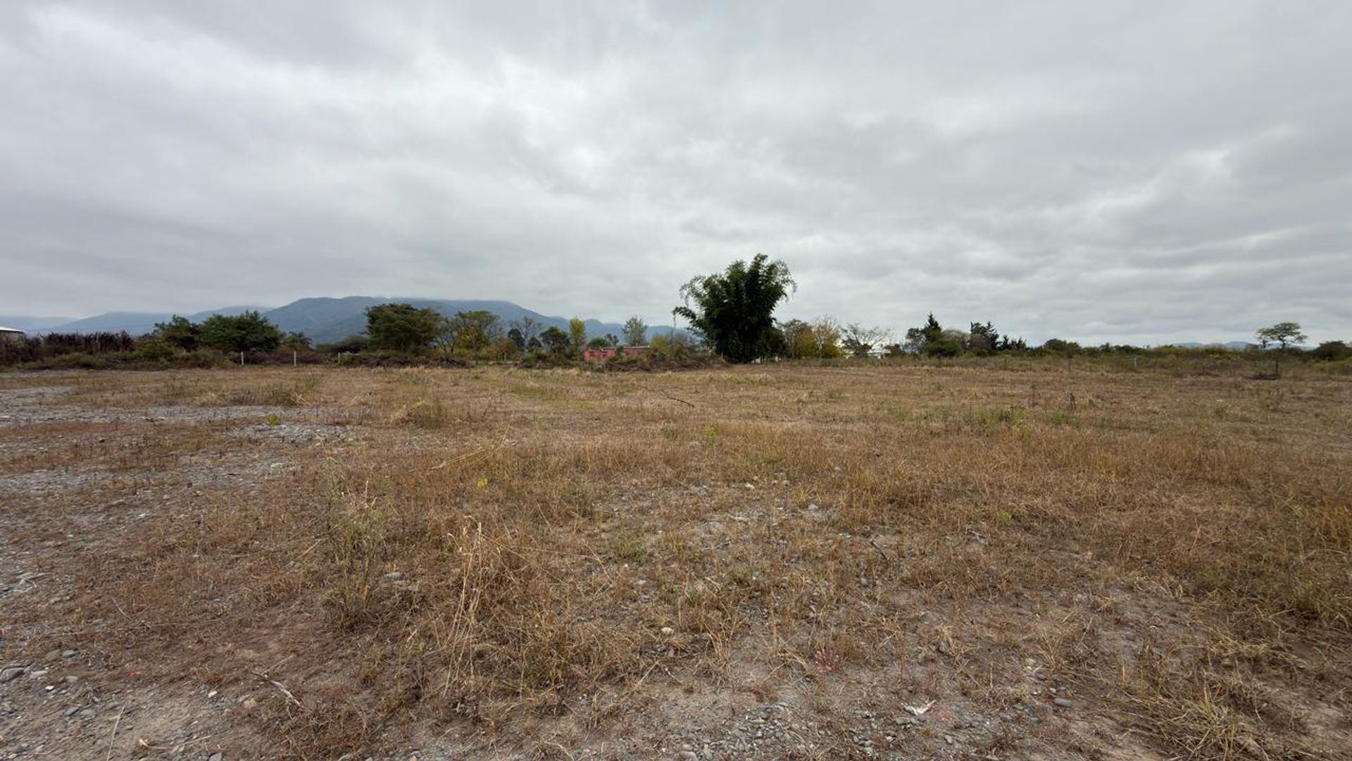 TERRENO VENTA CAMPO QUIJANO 1 HA PLANA - foto 13